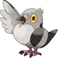 Pidove the tiny pigeon Pokémon