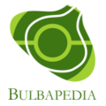 Bulbapedia
