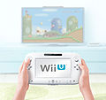 Wii-u-hardware-021.jpg