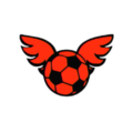 NSO MSBL June 2022 Week 4 - Character - Soccer Ball with Wings Team Icon.png