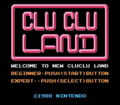 Clu Clu Land D gameplay.png