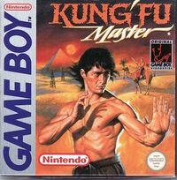 Kung-Fu Master (video game) - Wikipedia